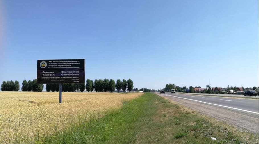 Реклама на билборде в Витебске возле вороновского кольца